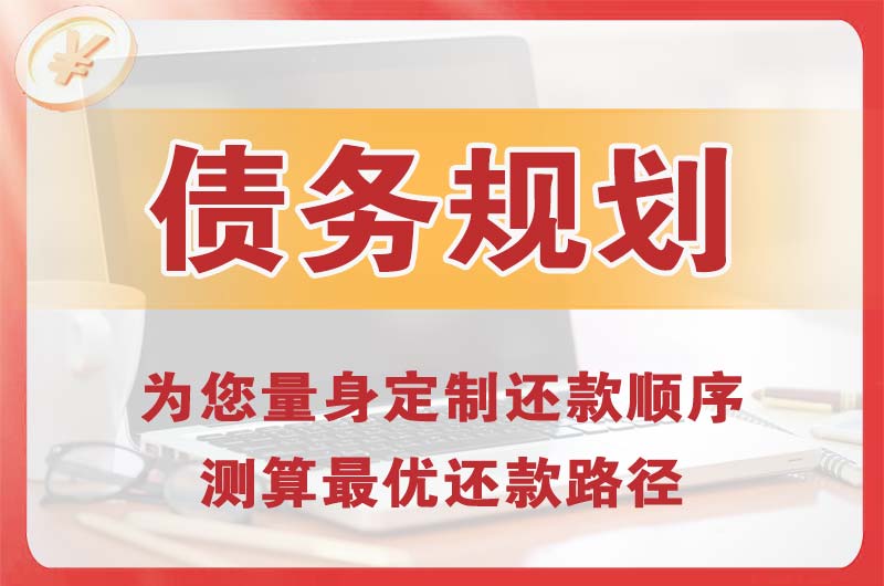 保定债务规划